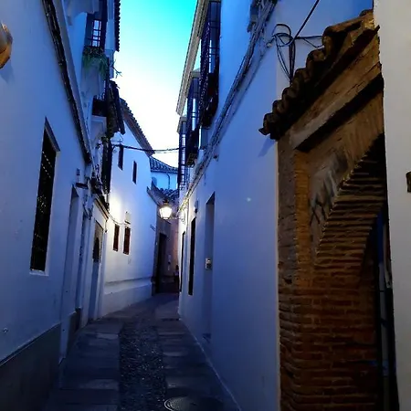 La Mirada De La Juderia Lägenhet